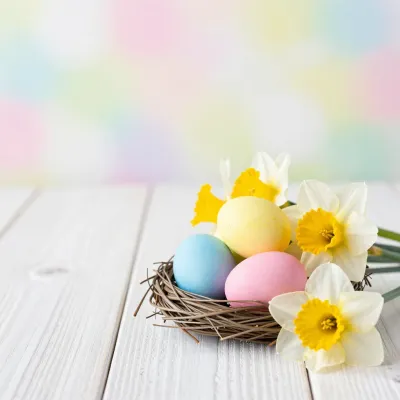 Easter Nest with Pastel Eggs and Daffodils - Easter - AI generated image