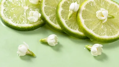 Sliced Limes with Jasmine Flowers on Pastel Green - Food - AI generated image