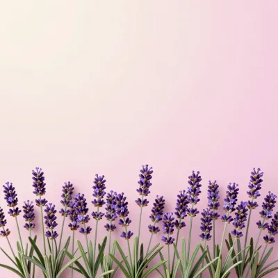 Lavender Sprig Border Soft Pink Gradient - Flowers - AI generated image