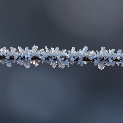Frost-Covered Branch with Needle-Like Crystals - Nature - AI generated image