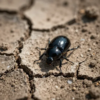 Black Beetle Crawling on Cracked Earth - Wildlife - AI generated image