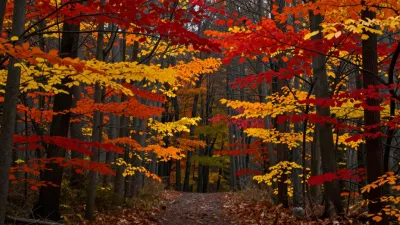 Autumn Forest Path with Red and Yellow Leaves - Seasonal - AI generated image