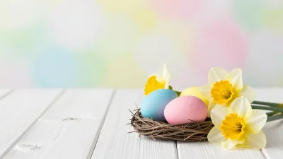 Pastel Eggs in Nest with Daffodils - Easter - AI generated image