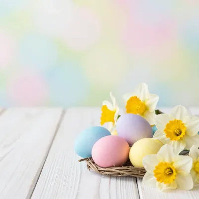 Pastel Eggs Nestled with Daffodils - Easter - AI generated image