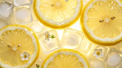 Lemon Slices with Ice and Flowers - Food - AI generated image