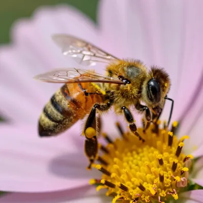 Honeybee Collecting Pollen on Flower - Wildlife - AI generated image