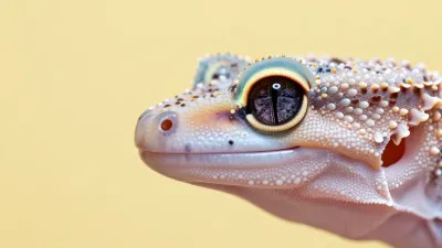 Albino Gecko Close-Up Details - Wildlife - AI generated image