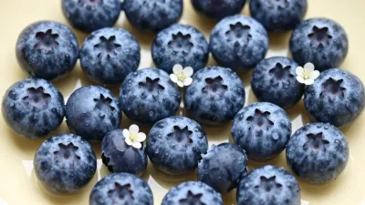 Blueberries with Blossom Pool - Food - AI generated image