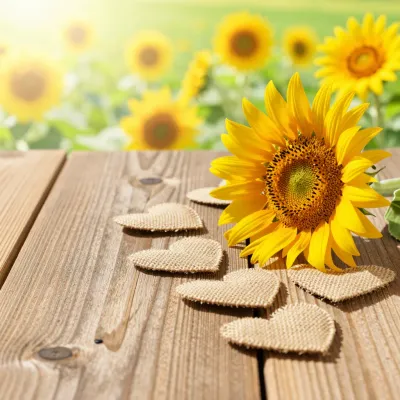 Sunflower Leaning on Wooden Table - Flowers - AI generated image