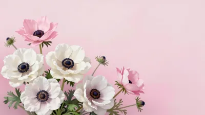 Anemone Cluster Soft Pink Gradient - Flowers - AI generated image