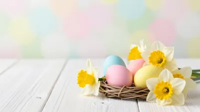 Pastel Eggs Nest with Daffodils - Easter - AI generated image