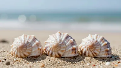Seashell Trio on Sandy Beach - Seashells - AI generated image