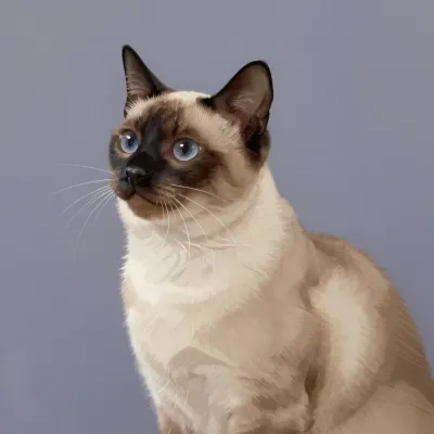 Siamese Cat Stretching Front-Facing - Animal - AI generated image
