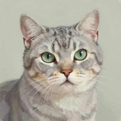 Tabby Cat Staring with Soft Fur Texture - Animal - AI generated image