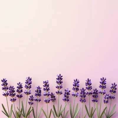 Lavender Sprigs Border Soft Pink Background - Flowers - AI generated image
