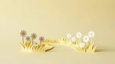 Paper Daisies and Grasses Softly Lit - Flowers - AI generated image