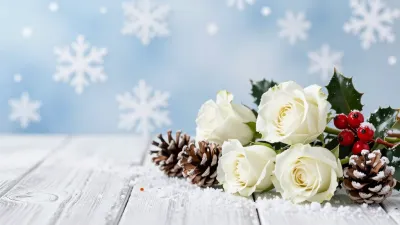 White Roses with Red Berries and Pinecones on Frosty Surface - Flowers - AI generated image