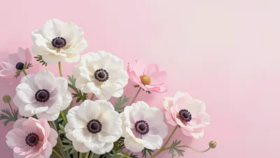 Anemone Cluster Soft Pink Background - Flowers - AI generated image