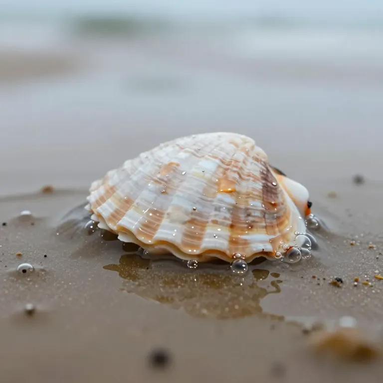 Shell in Tidepool Reflecting Overcast Light - Beach - AI generated image