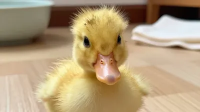 Yellow Duckling Booping Beak - Animal - AI generated image