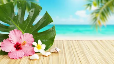 Tropical Paradise with Monstera and Hibiscus - Flora - AI generated image