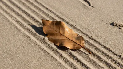 Weathered Leaf on Sandy Beach - Nature - AI generated image
